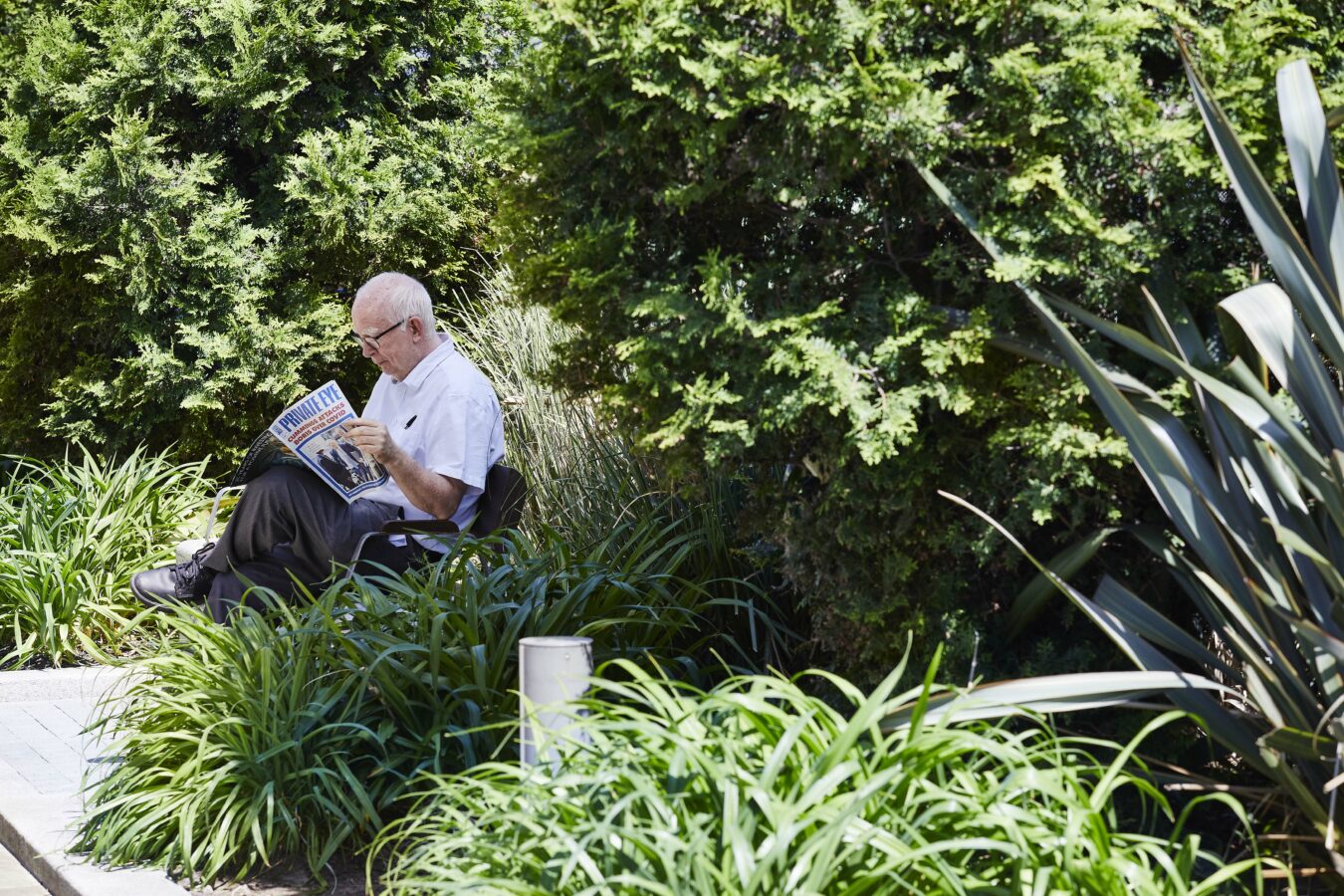 leisure image Blue peter garden